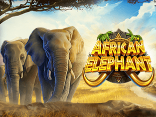 African Elephant game thumbnail